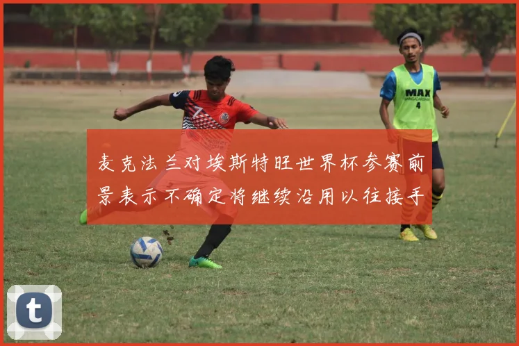 麦克法兰对埃斯特旺世界杯参赛前景表示不确定将继续沿用以往接手流程