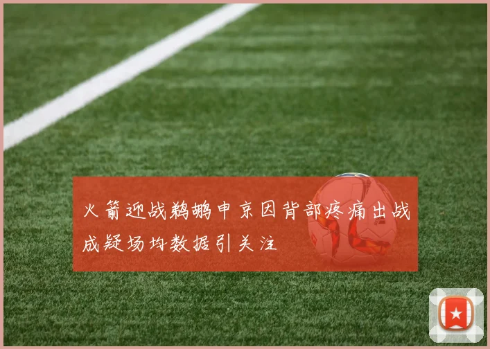 火箭迎战鹈鹕申京因背部疼痛出战成疑场均数据引关注